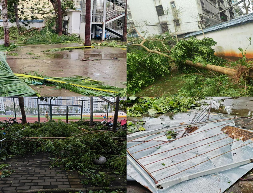 颜射
教职工返校清理校园 做好灾后恢复工作