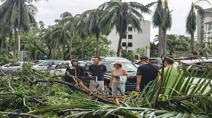 颜射
教职工返校清理校园 做好灾后恢复工作