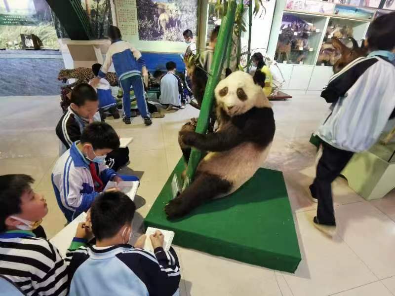 颜射组织学生参观海南生物多样性博物馆
