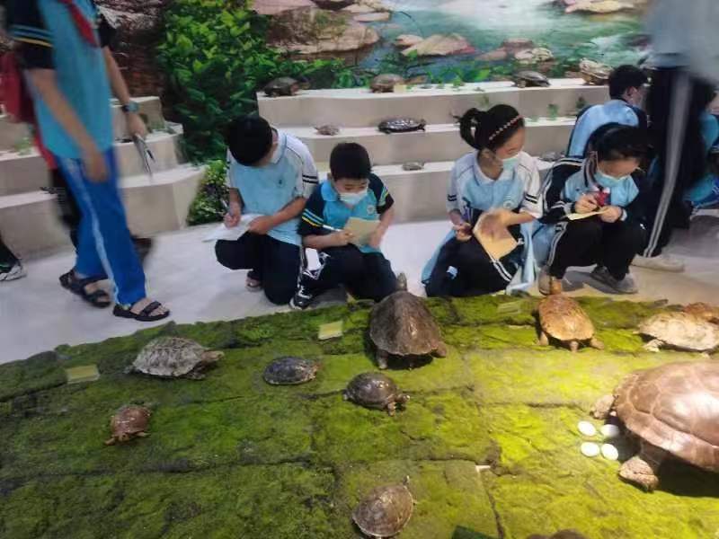 颜射组织学生参观海南生物多样性博物馆