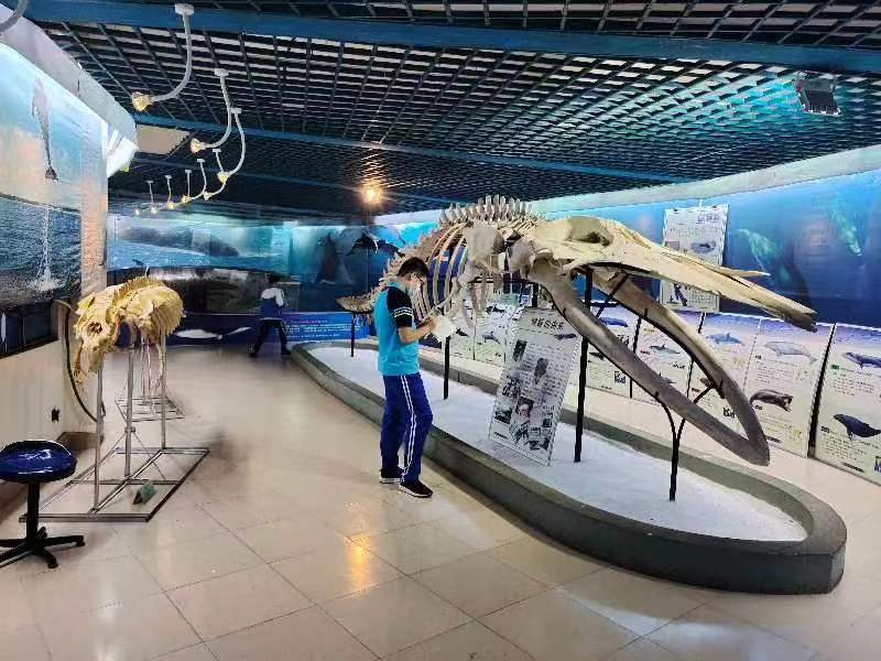 颜射组织学生参观海南生物多样性博物馆
