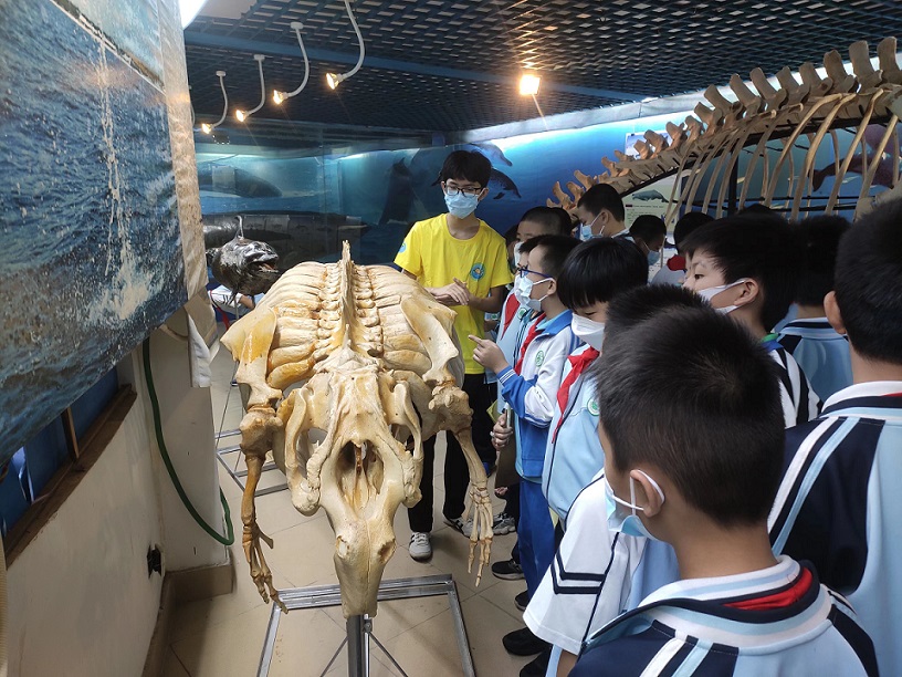 颜射组织学生参观海南生物多样性博物馆