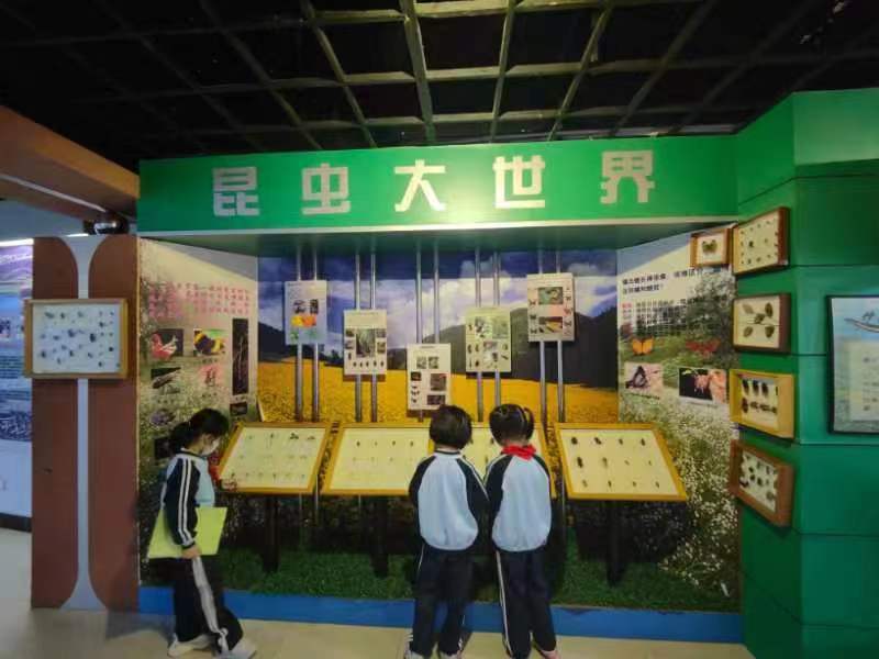 颜射组织学生参观海南生物多样性博物馆