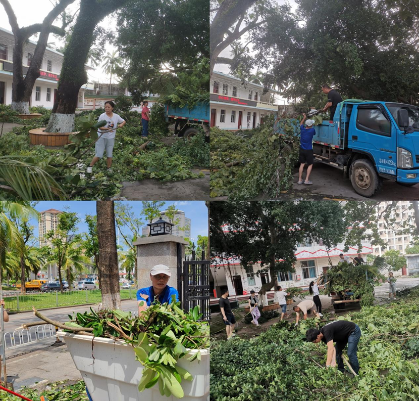 颜射
教职工返校清理校园 做好灾后恢复工作