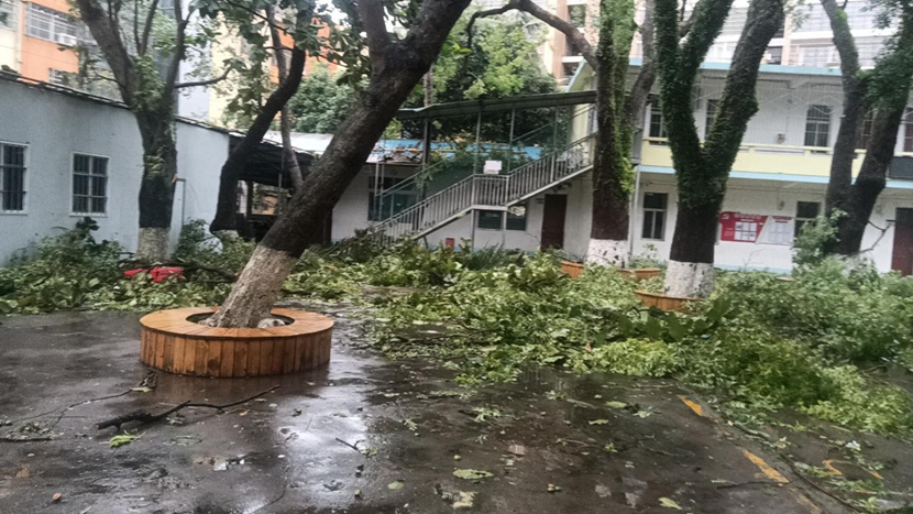 颜射
教职工返校清理校园 做好灾后恢复工作