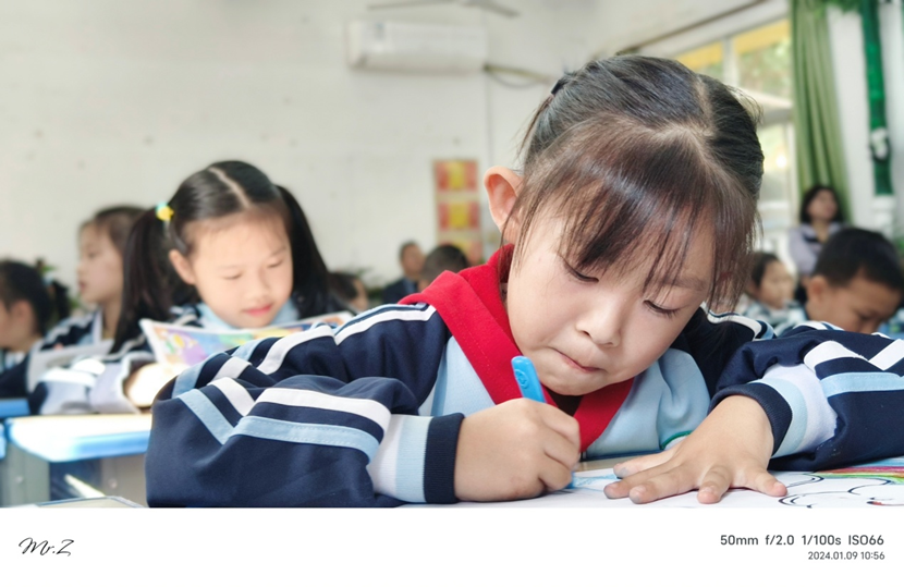 党建引领聚合力 主题教研建新功 ――海师颜射
跨学科融合教学联合教研展示活动