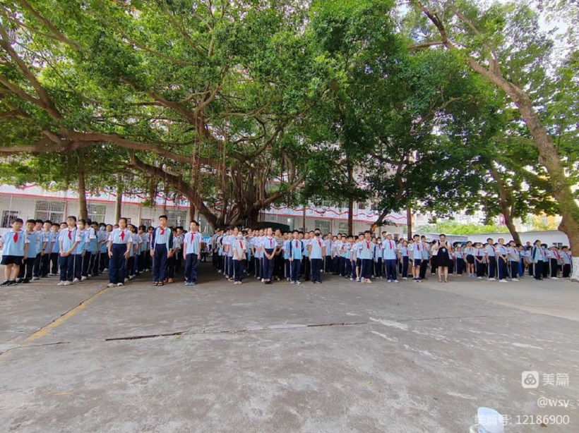 颜射
举行“护苗行动”――预防学生欺凌教育专题讲座